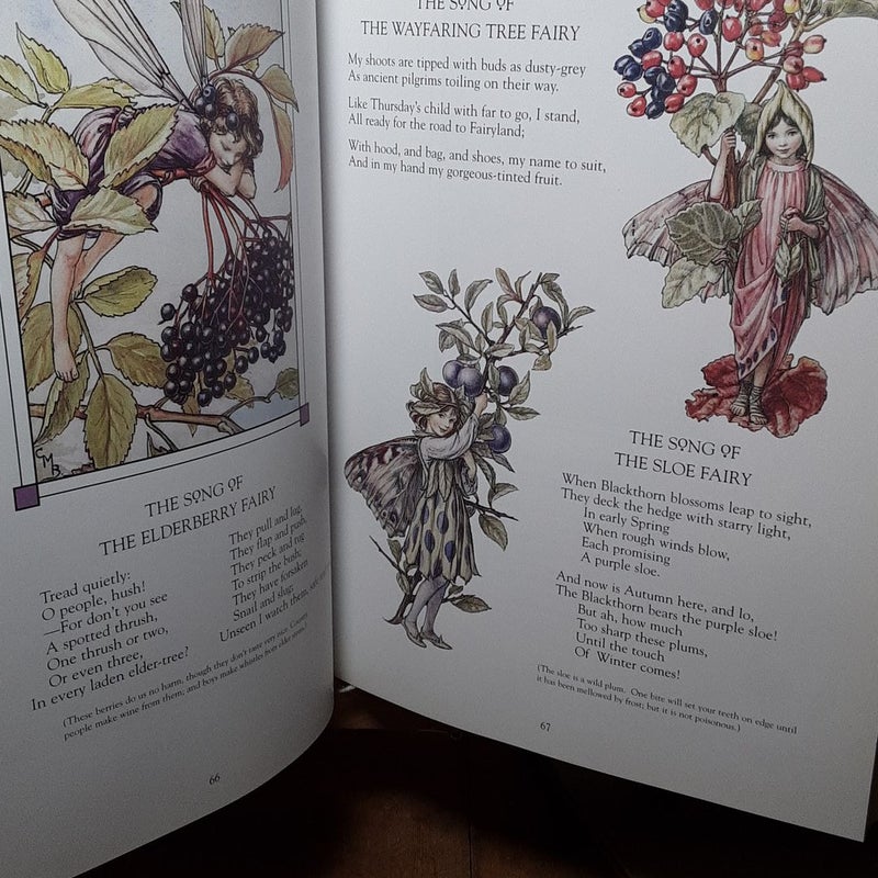 The Complete Book of the Flower Fairies