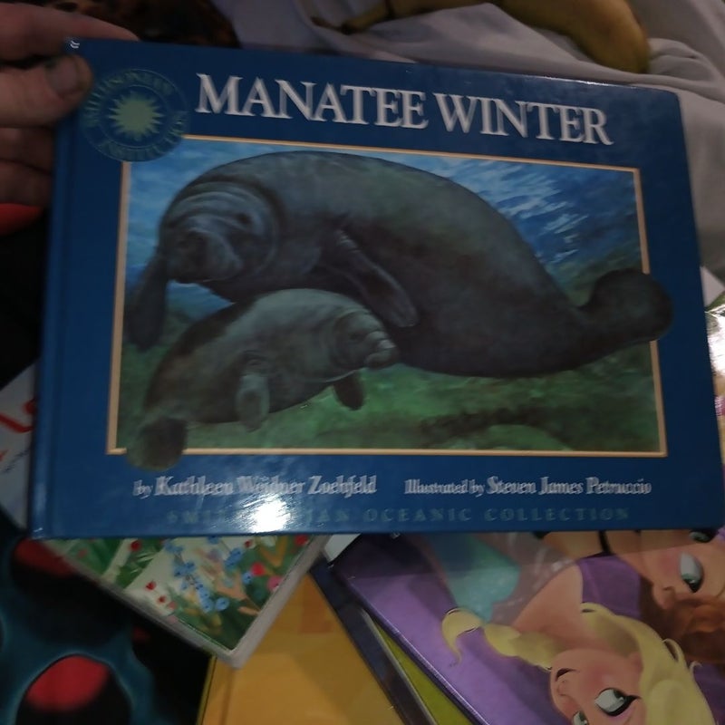 Manatee Winter