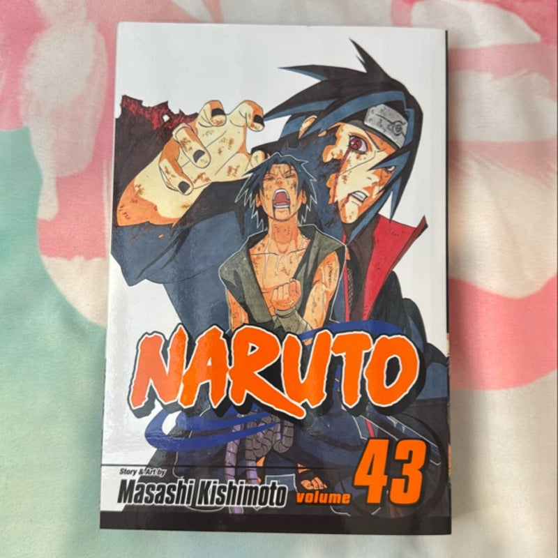 Naruto, Vol. 43