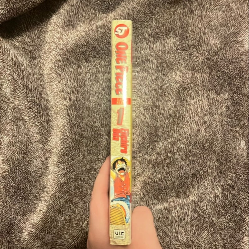 One Piece, Vol. 1