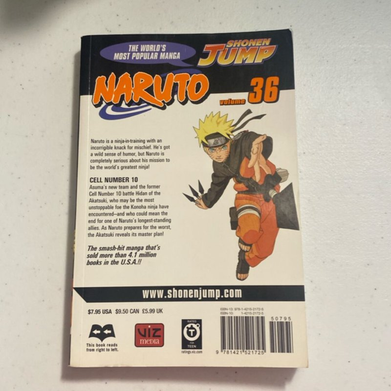Naruto, Vol. 36
