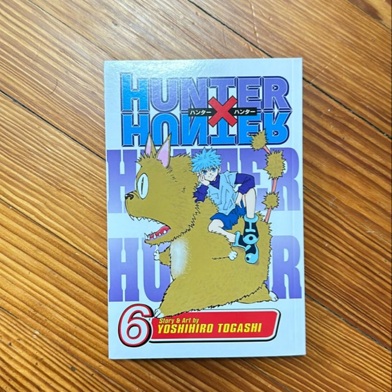 Hunter X Hunter, Vol. 6