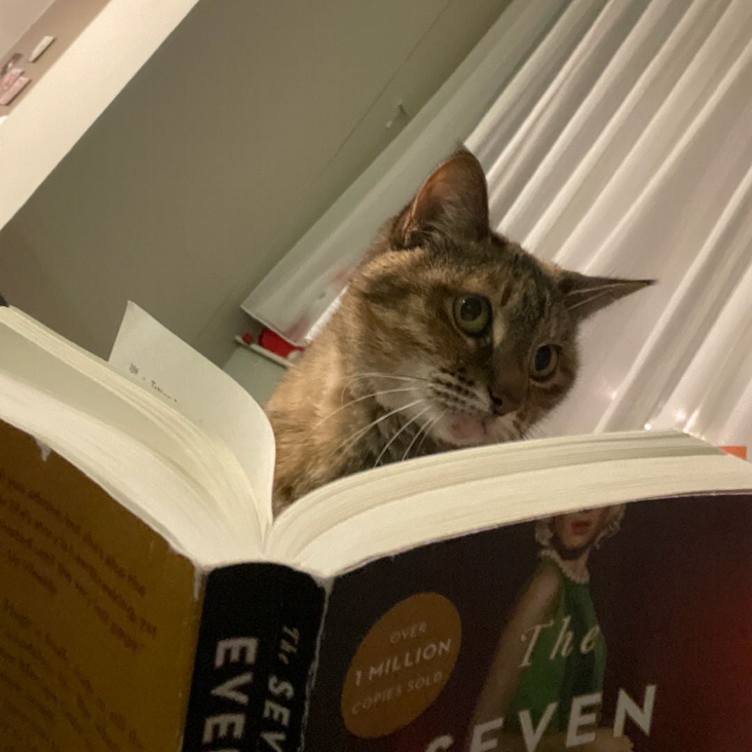 lulu’s book exchange