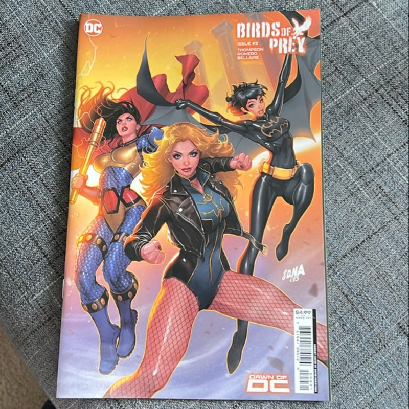 Birds of Prey 2023 #2 Variant Cover