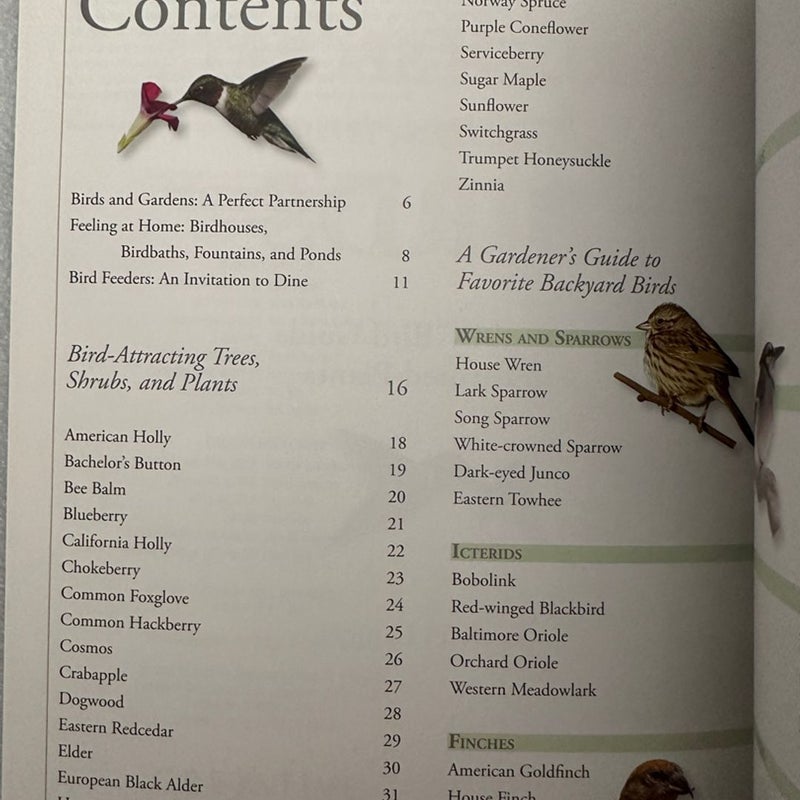 Garden Secrets for Attracting Birds