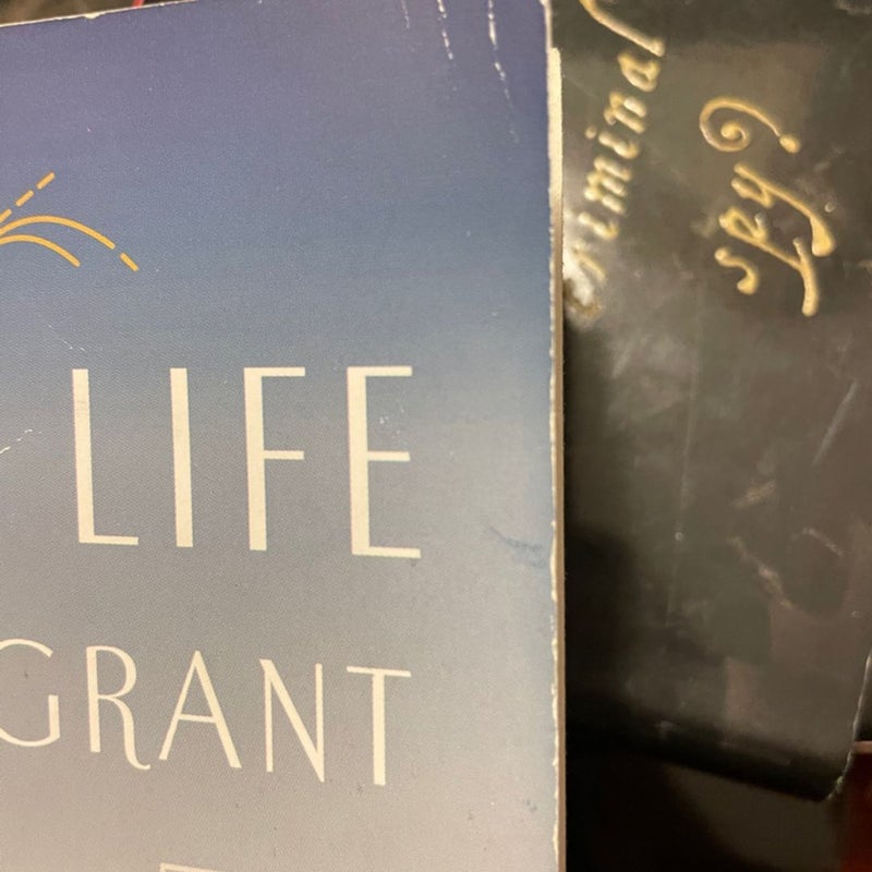 The Secret Life of Violet Grant