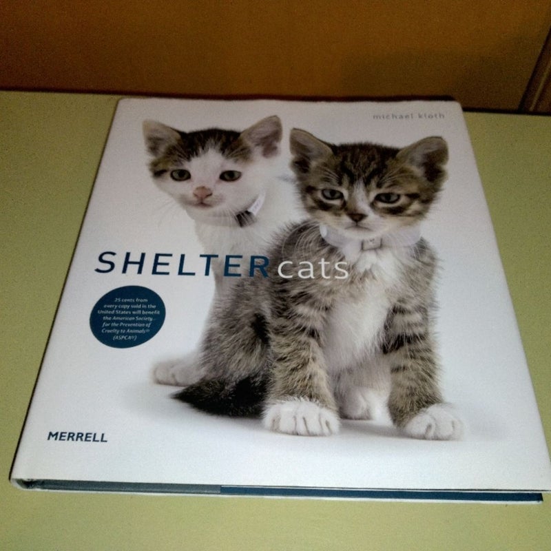 Shelter Cats