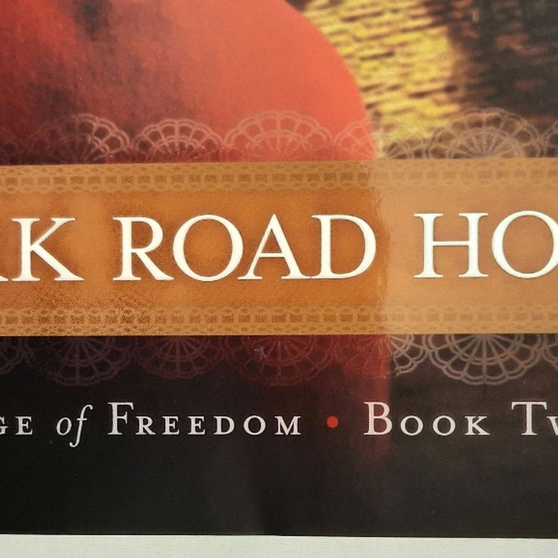 Dark Road Home #2 (Edge of Freedom, New, 2013, Pbk, 341 pgs)