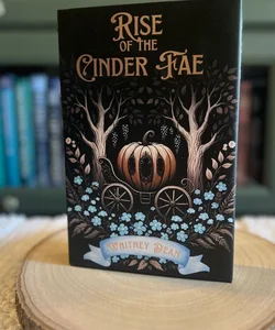 Rise of the Cinder Fae - Unplugged Book box