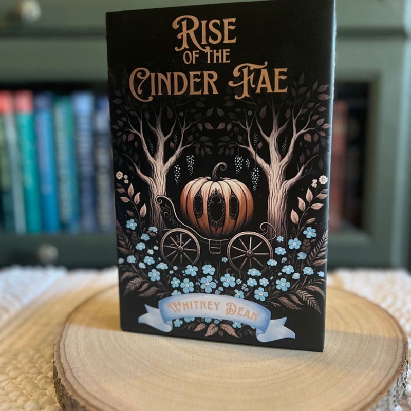 Rise of the Cinder Fae - Unplugged Book box