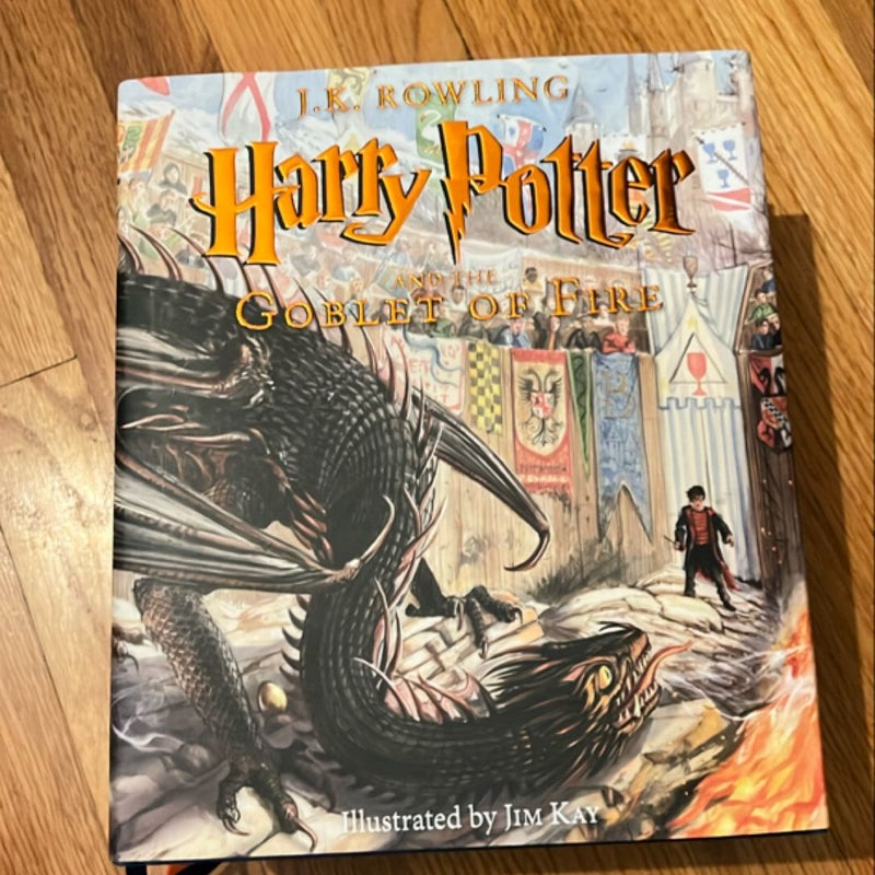 Harry Potter Illustrated Set