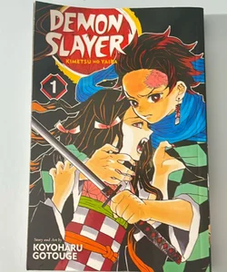 Demon Slayer: Kimetsu No Yaiba, Vol. 1