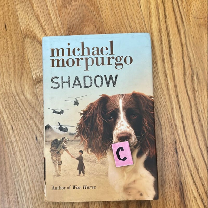 Shadow