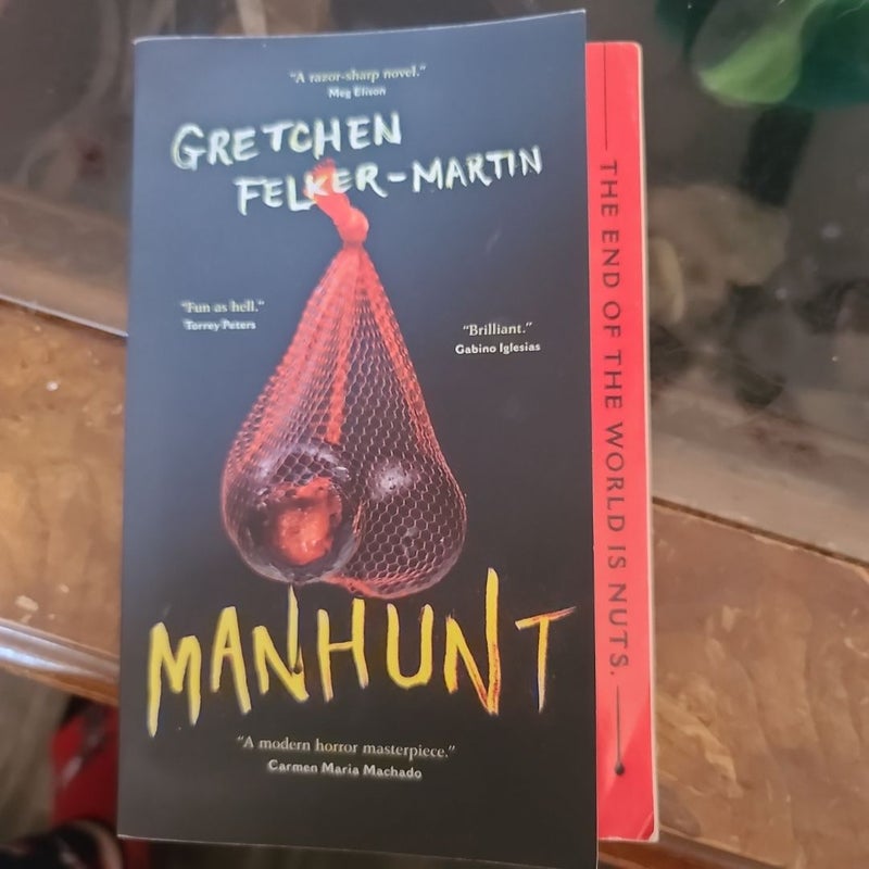 Manhunt