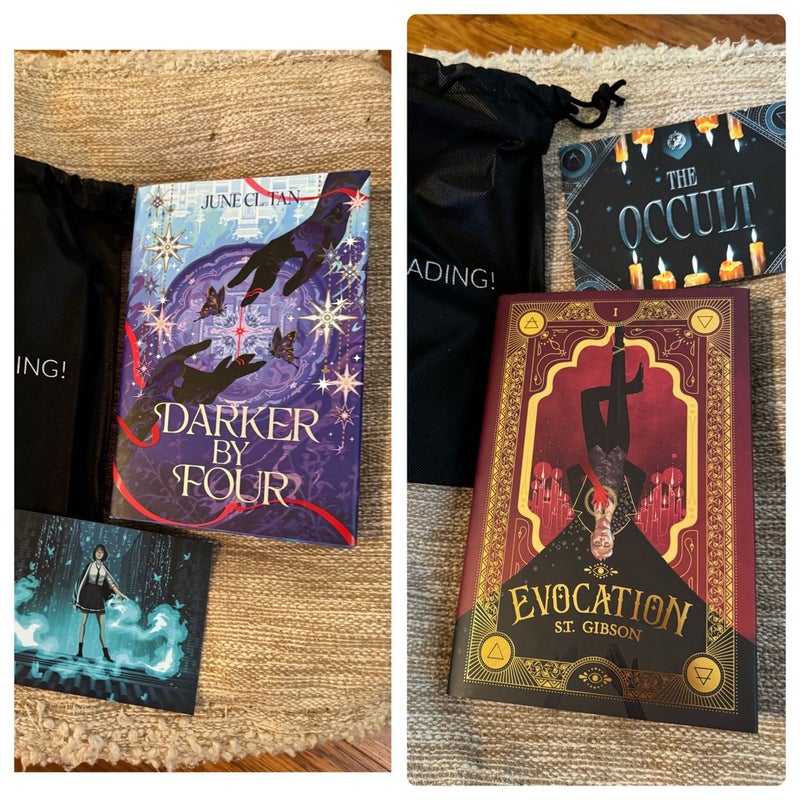 fairyloot evocation and darker by four April box