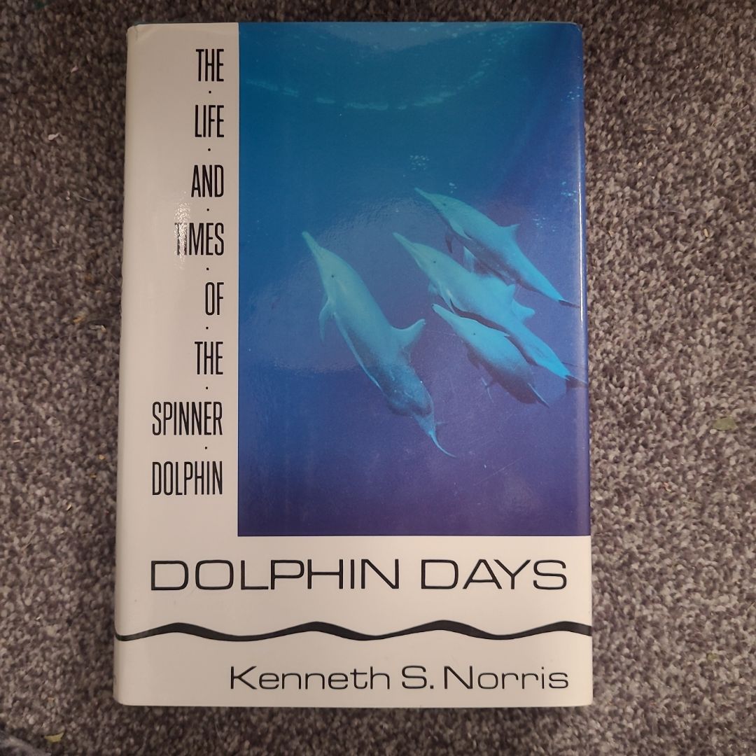 Dolphin Days
