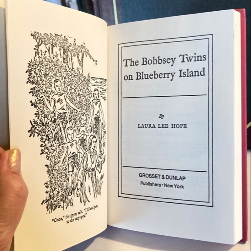 The Bobbsey Twins on Blueberry Island