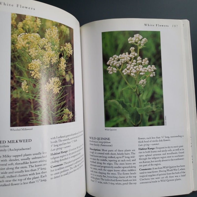 Tallgrass Prairie Wildflowers