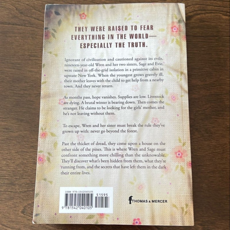 the-stillwater-girls-by-minka-kent-paperback-pangobooks