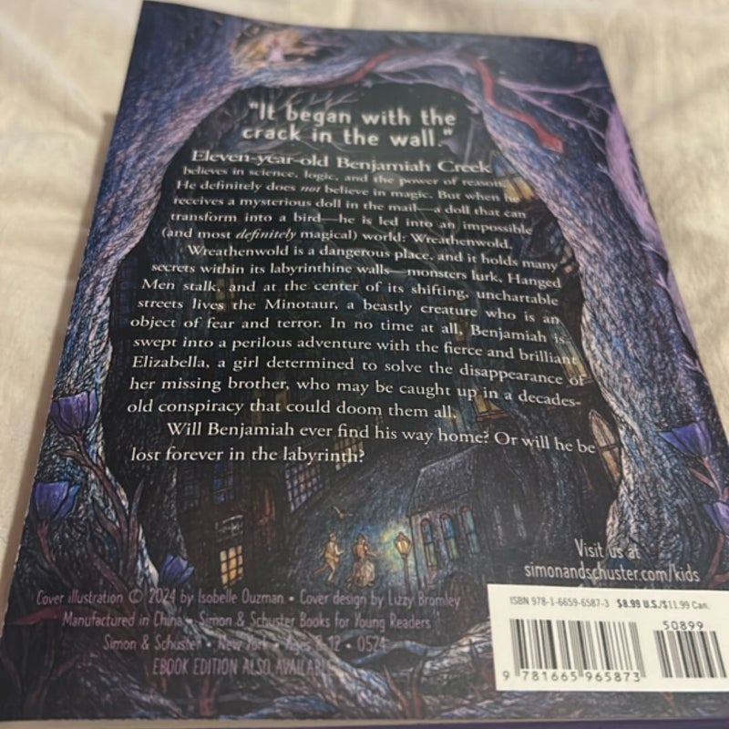 The Labyrinth of Lost and Found *B&N Exclusive Edition*