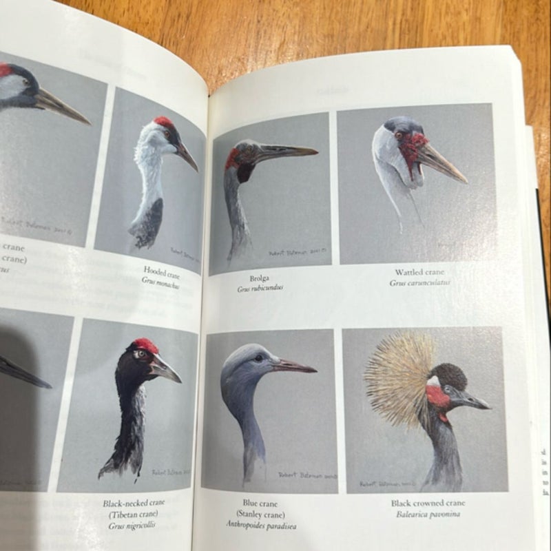 The Birds of Heaven (2001 1st Ed)