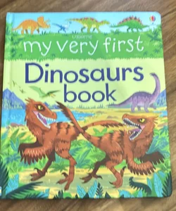 My Vert First Dinosaurs Book