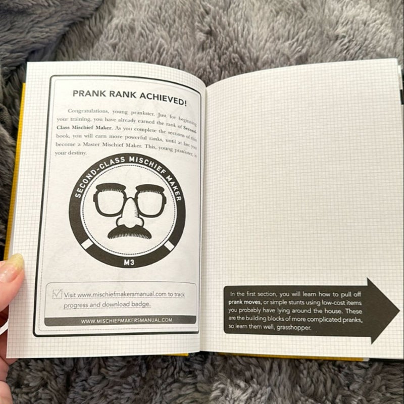 Mischief Maker's Manual