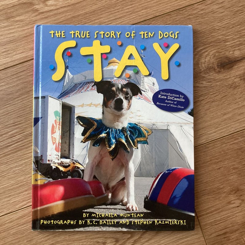 The True Story of Ten Dogs - Stay