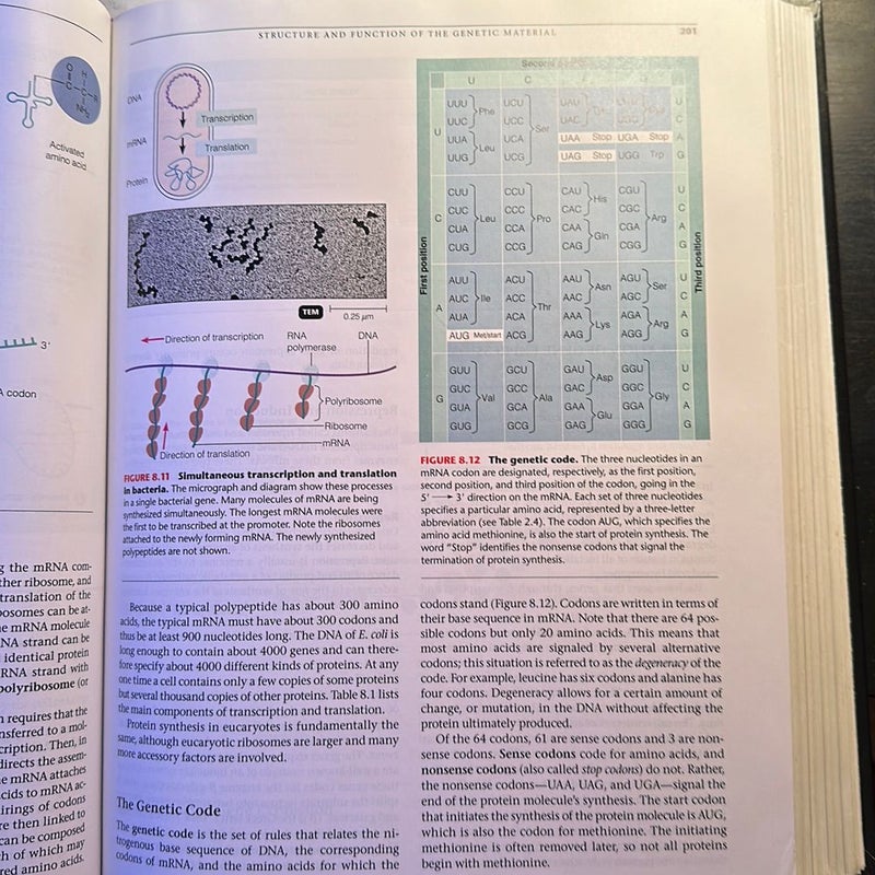 Microbiology