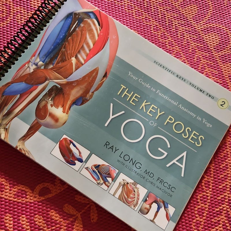 The Key Poses of Yoga
