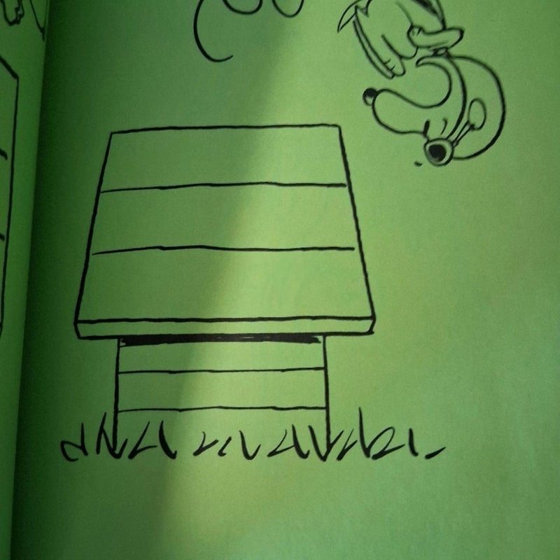 Snoopy and the Red Baron