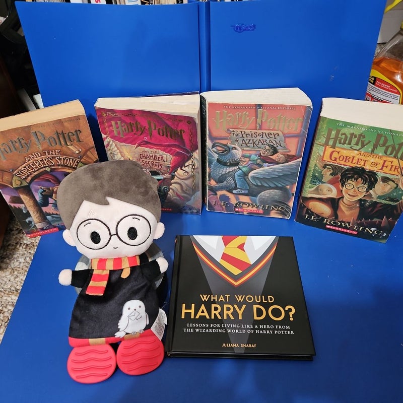 HARRY POTTER Gift Set #1 (w/bonus WWHD? Book AND 12" Harry Potter Fabric "Wizard In Training" Figure)