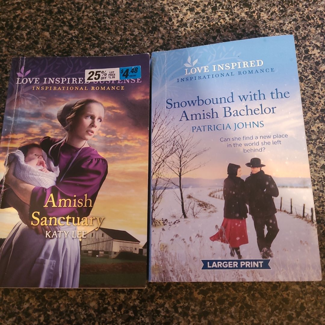 Snowbound with the Amish Bachelor