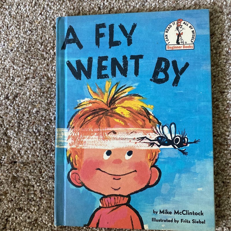 A fly went by