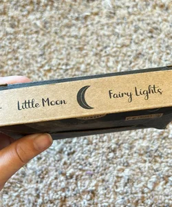 Little moon fairy lights