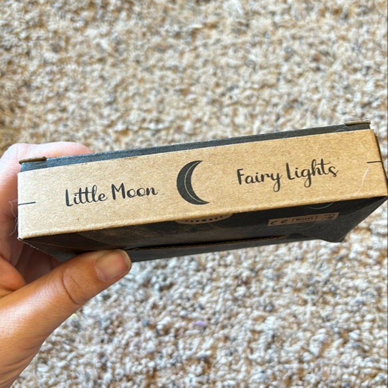 Little moon fairy lights