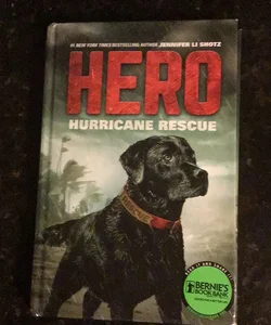 Hero: Hurricane Rescue