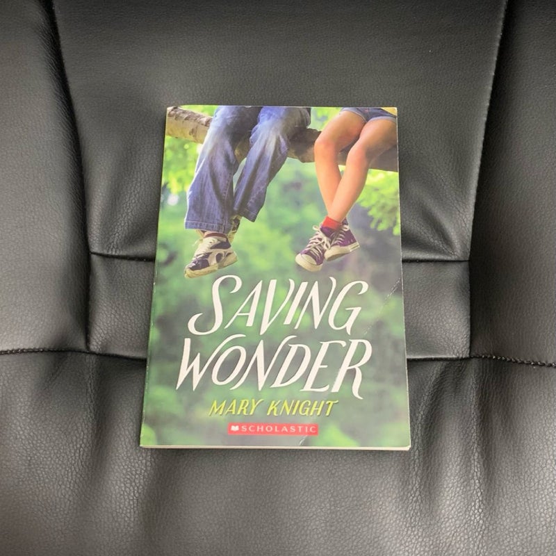 Saving Wonder