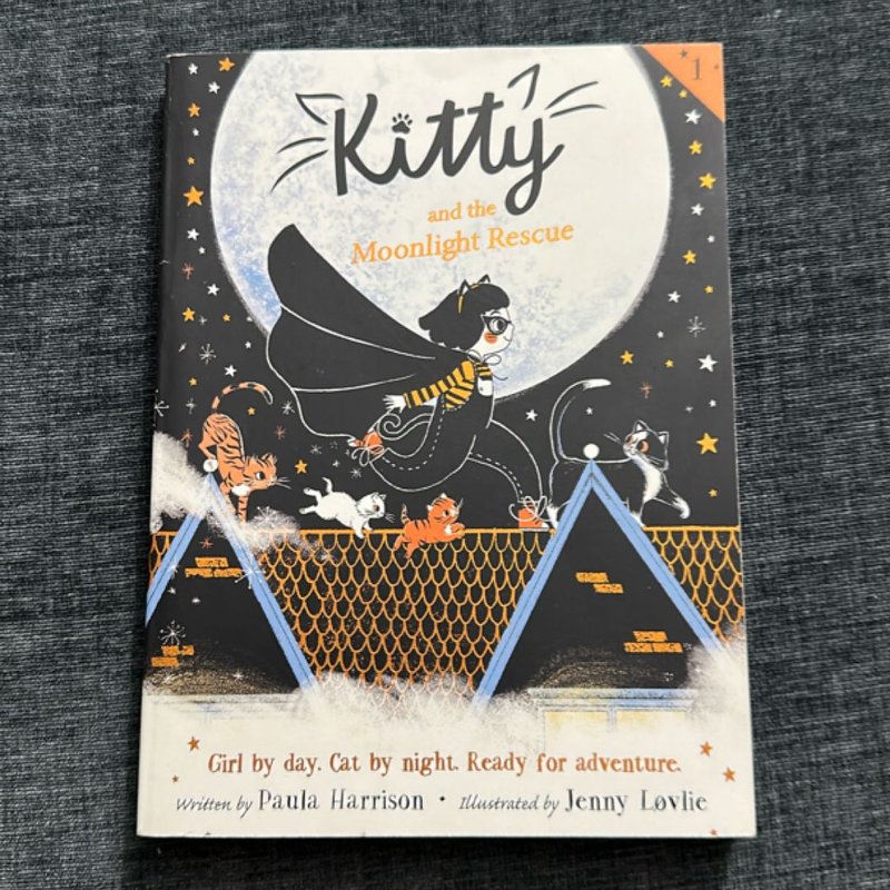 Kitty and the Moonlight Rescue