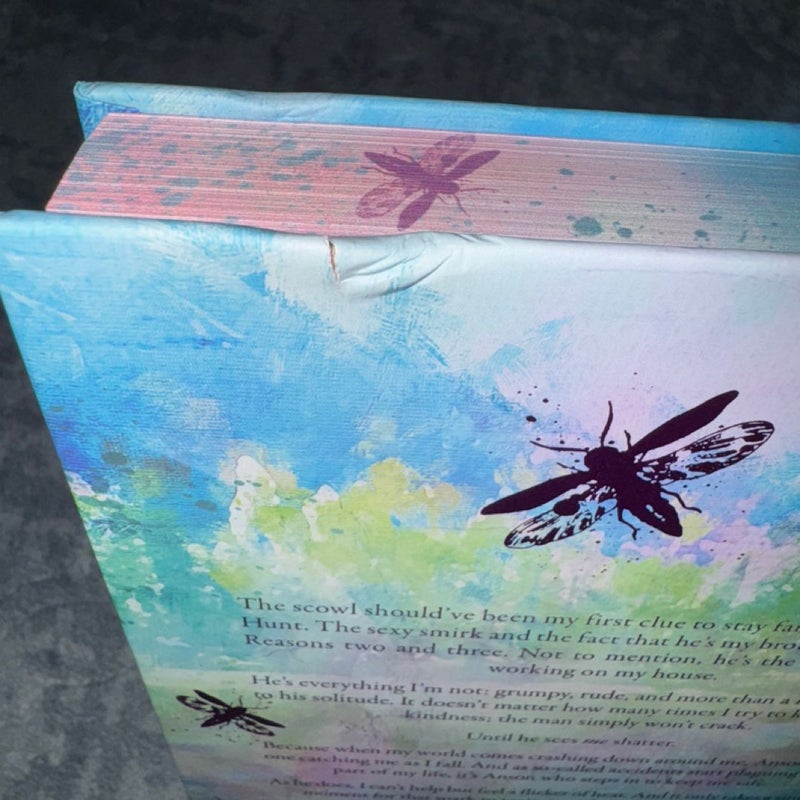 PR Box Fragile Sanctuary