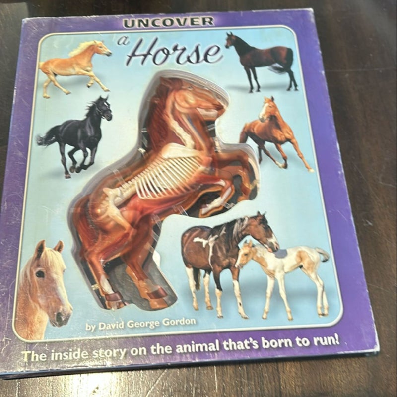 Uncover a Horse