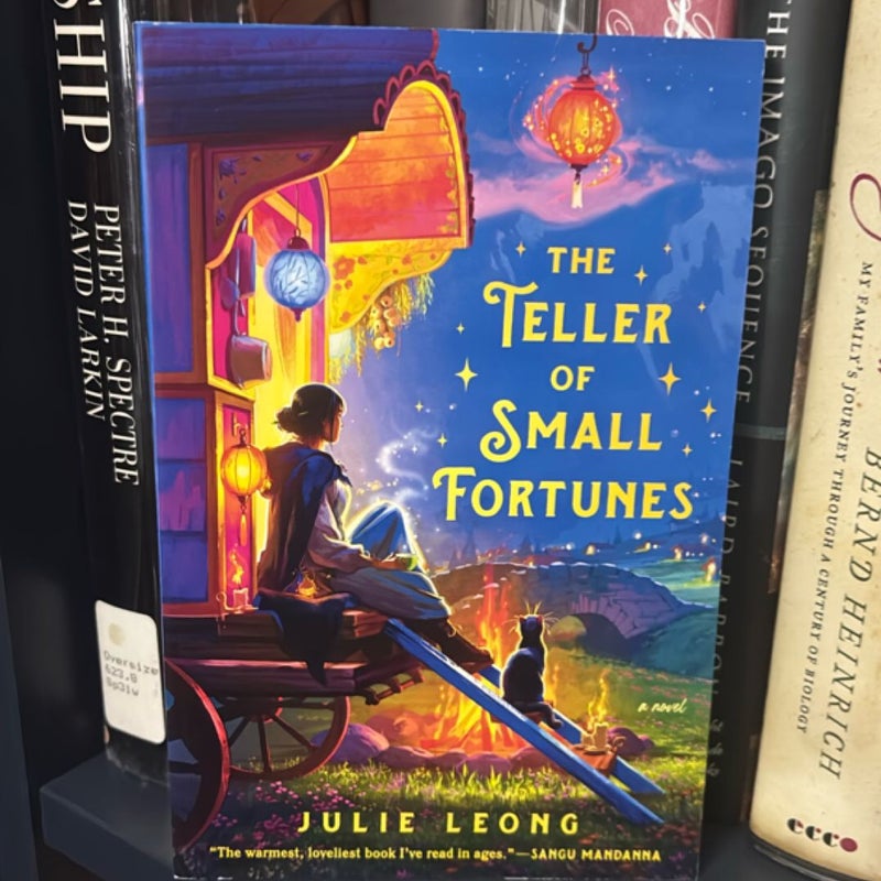 The Teller of Small Fortunes