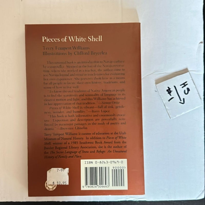 Pieces of White Shell