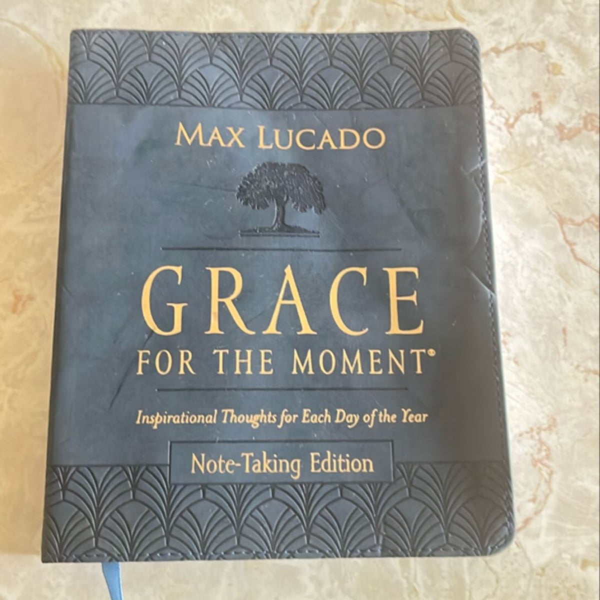 Grace for the Moment Volume I, NoteTaking Edition by Max