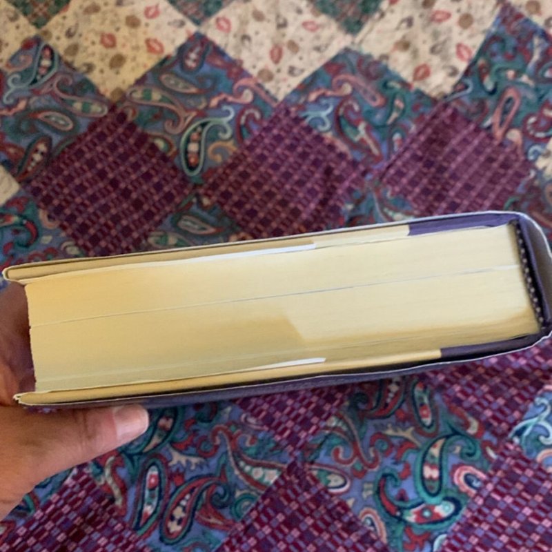 The Education of an Idealist