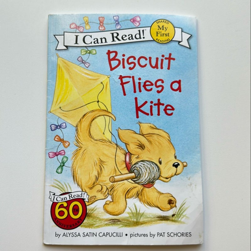 Biscuit Flies a Kite