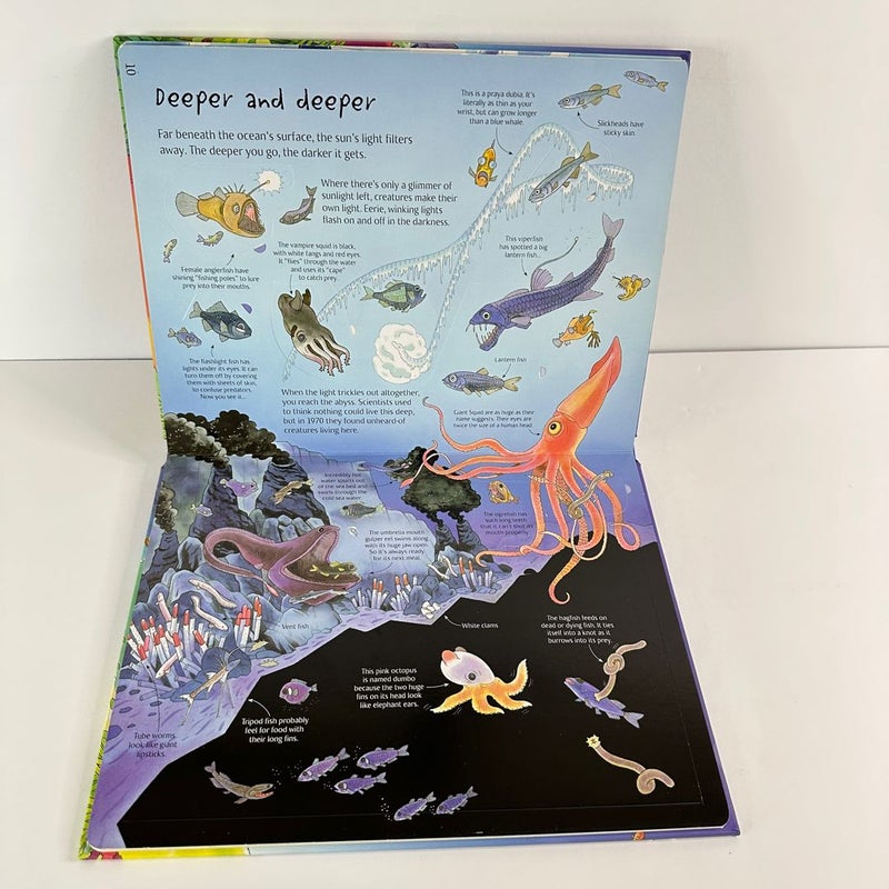 Usborne Flap Book-See Under the Sea