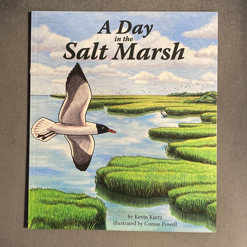 A Day in the Salt Marsh