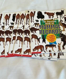 Set of 6 - Amazing Book of Mammal Records