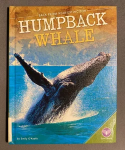 Humpback Whale